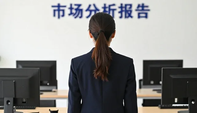 项目执行服务中的适用条件与实际应用分析